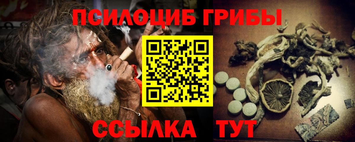 Протвино  Галлюциногенные грибы Cubensis  Вход с VPN  Псилоцибиновые грибы Magic Shrooms 
